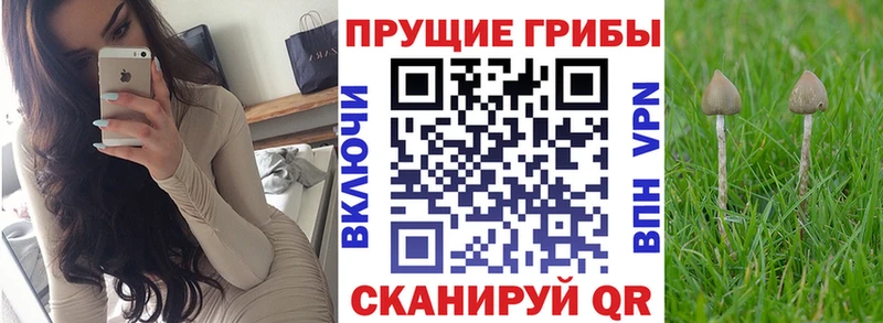Галлюциногенные грибы Magic Shrooms Новошахтинск