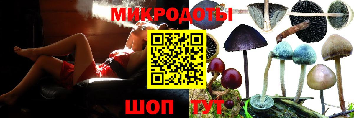 Псилоцибиновые грибы ЛСД Новошахтинск